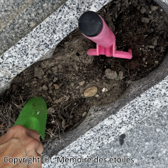 etapes_11_enlever_plante_jardiniere